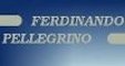 Psichiatra, Psicoterapeuta